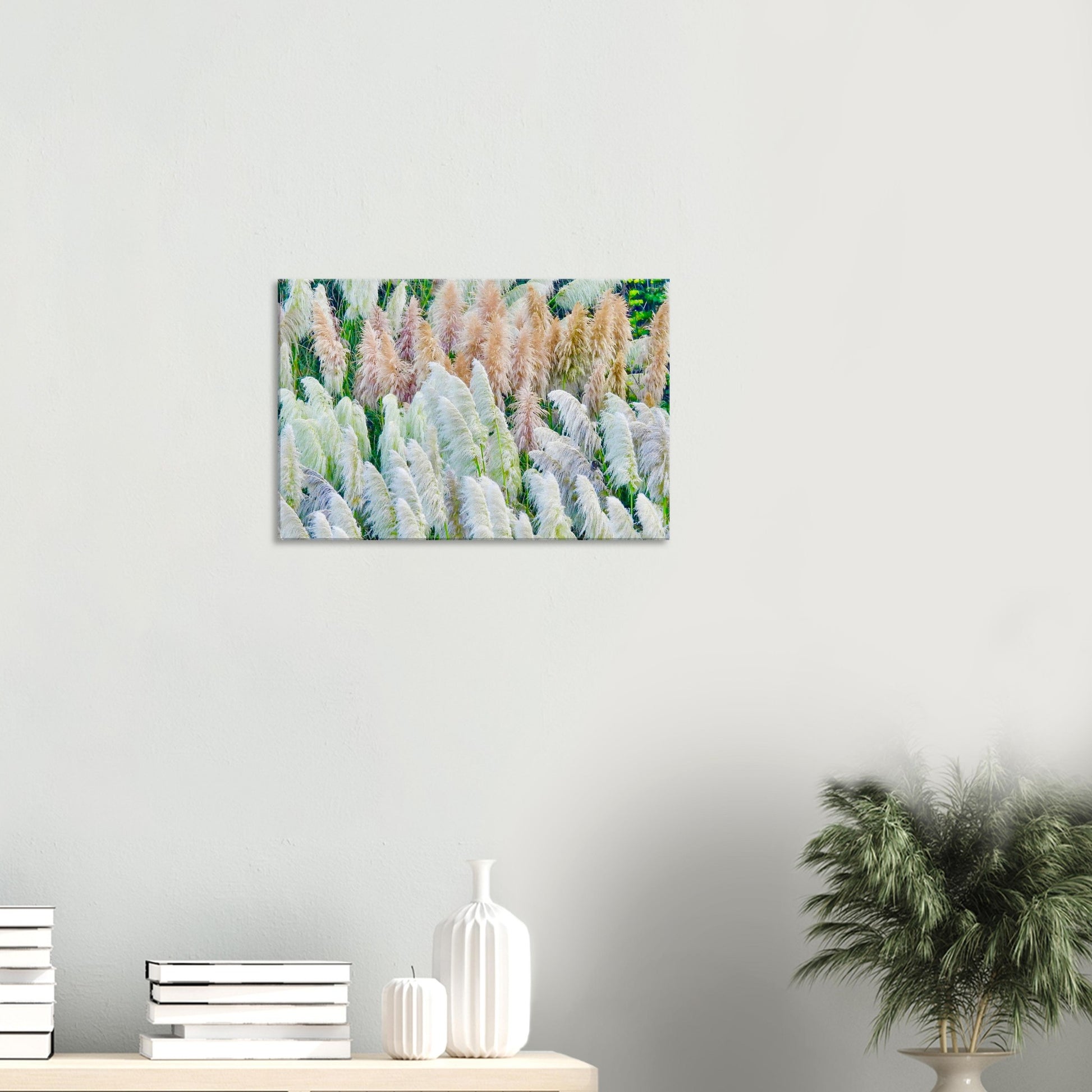 Grasses, grass, toetoe, pink, white, green, northland, nz, new zealand, east coast, coastal, mangawhai heads surf beach, surf beach, wall art, canvas, piwaka prints,