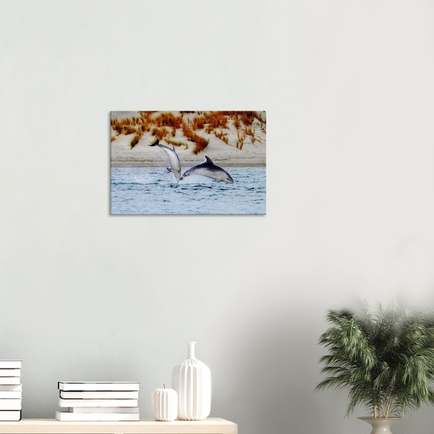 dolphins nz, mangawhai heads estuary, mangawhai heads, mangawhai estuary, mangawhai, estuary nz, northland, nz, new zealand, dolphin canvas nz, canvas nz, east coast nz, paradise nz, ocean life nz, marine life nz, piwaka prints nz, piwaka prints