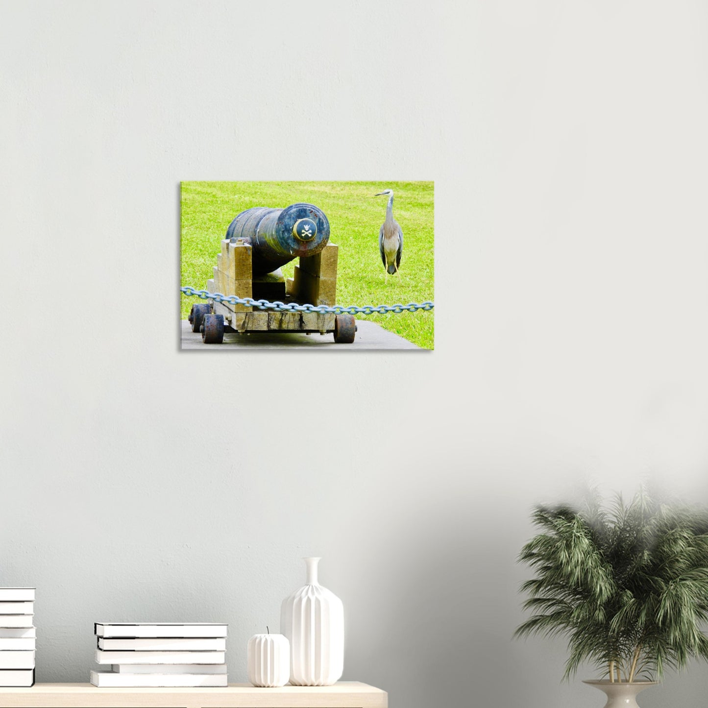 heron nz, nz heron, cannon nz, sentinel nz, piwaka prints nz, nature photography nz, new zealand, nz, bird life nz, northland nz, mangawhai nz, canvas nz, canvas art nz,