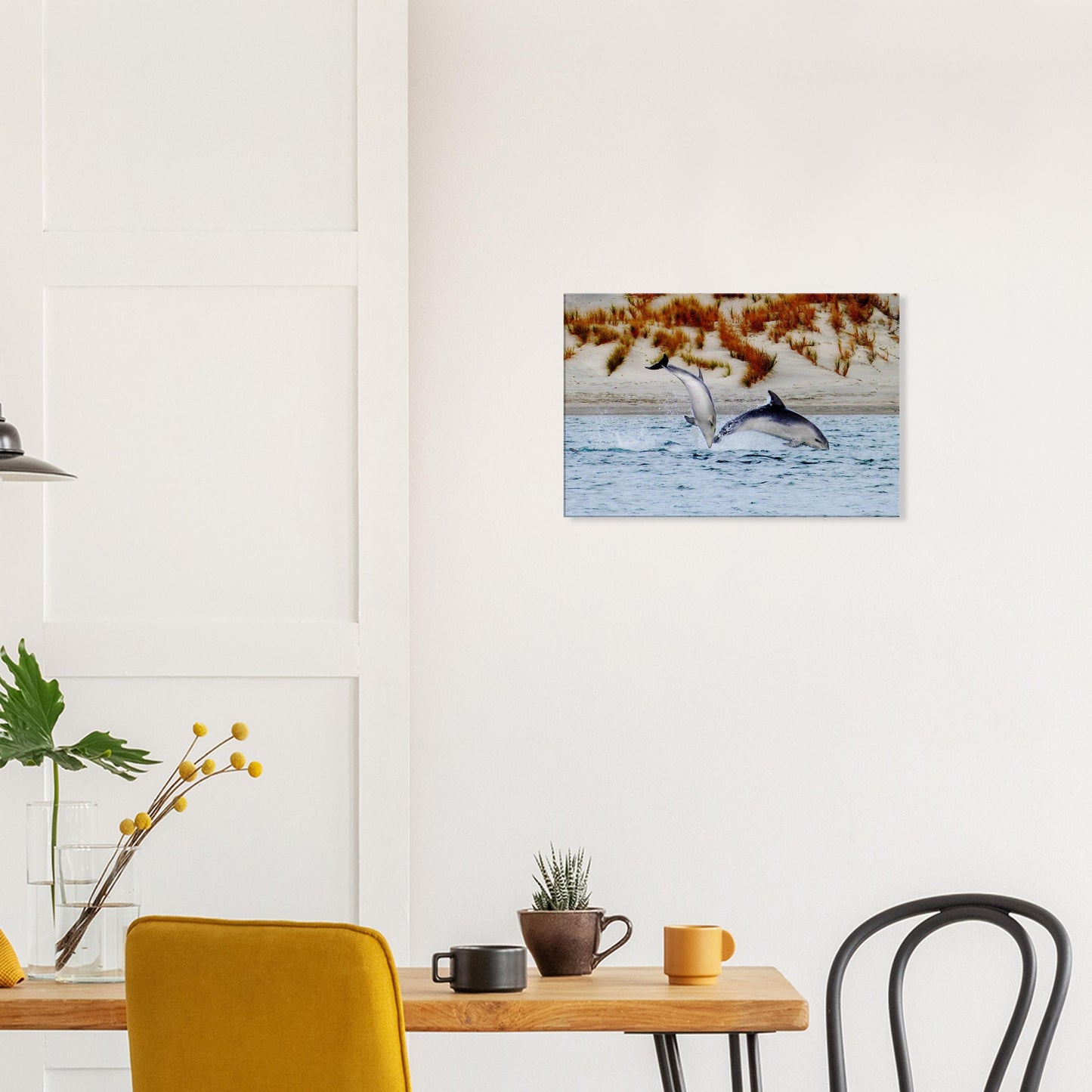 dolphins nz, mangawhai heads estuary, mangawhai heads, mangawhai estuary, mangawhai, estuary nz, northland, nz, new zealand, dolphin canvas nz, canvas nz, east coast nz, paradise nz, ocean life nz, marine life nz, piwaka prints nz, piwaka prints