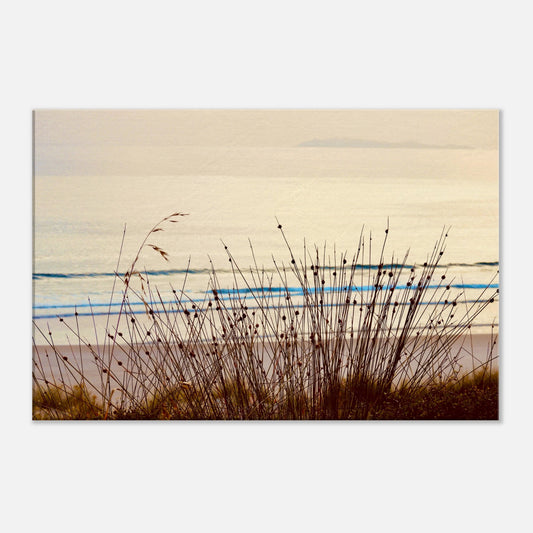coastal grasses nz, grasses nz, sunrise nz, mangawhai heads surf beach nz, beach nz, surf beach nz, mangawhai heads nz, canvas nz, canvas art nz, new zealand, piwaka prints nz,