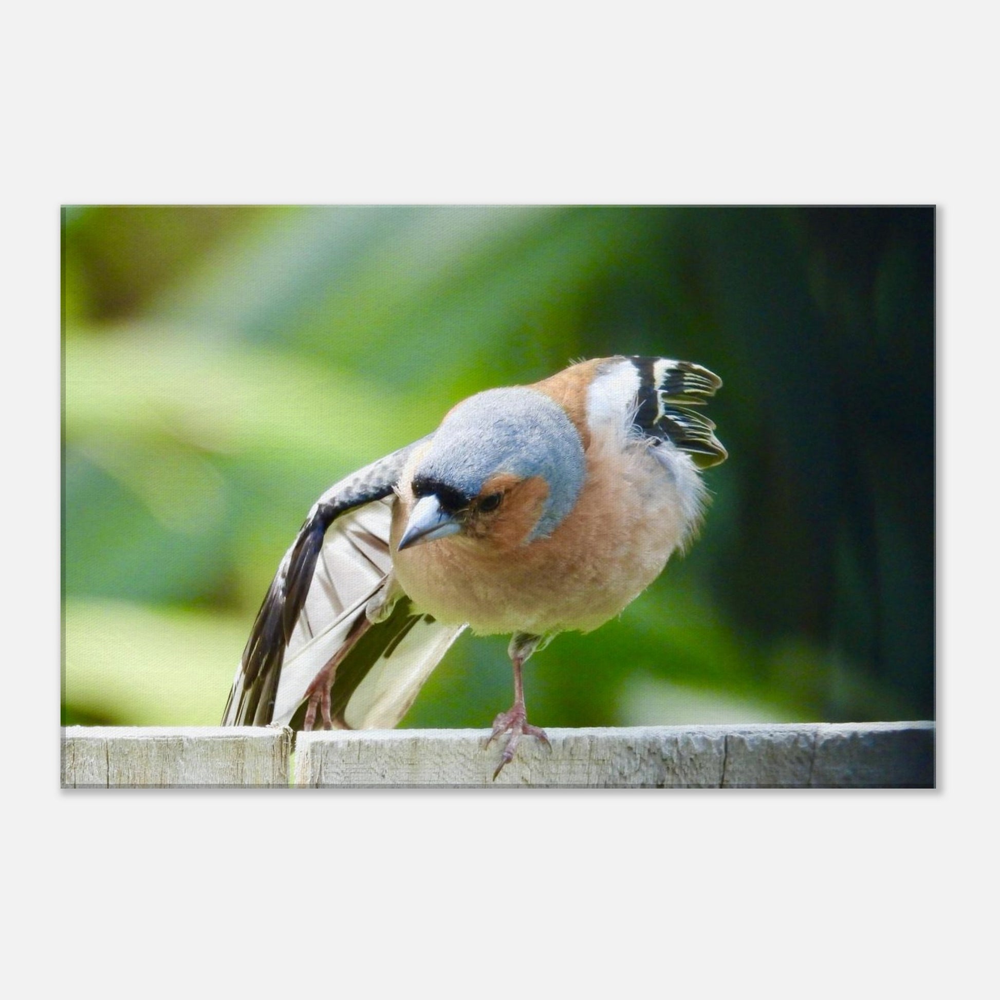 032ae8ce-c32b-4ae0-8496-1795cb29b320