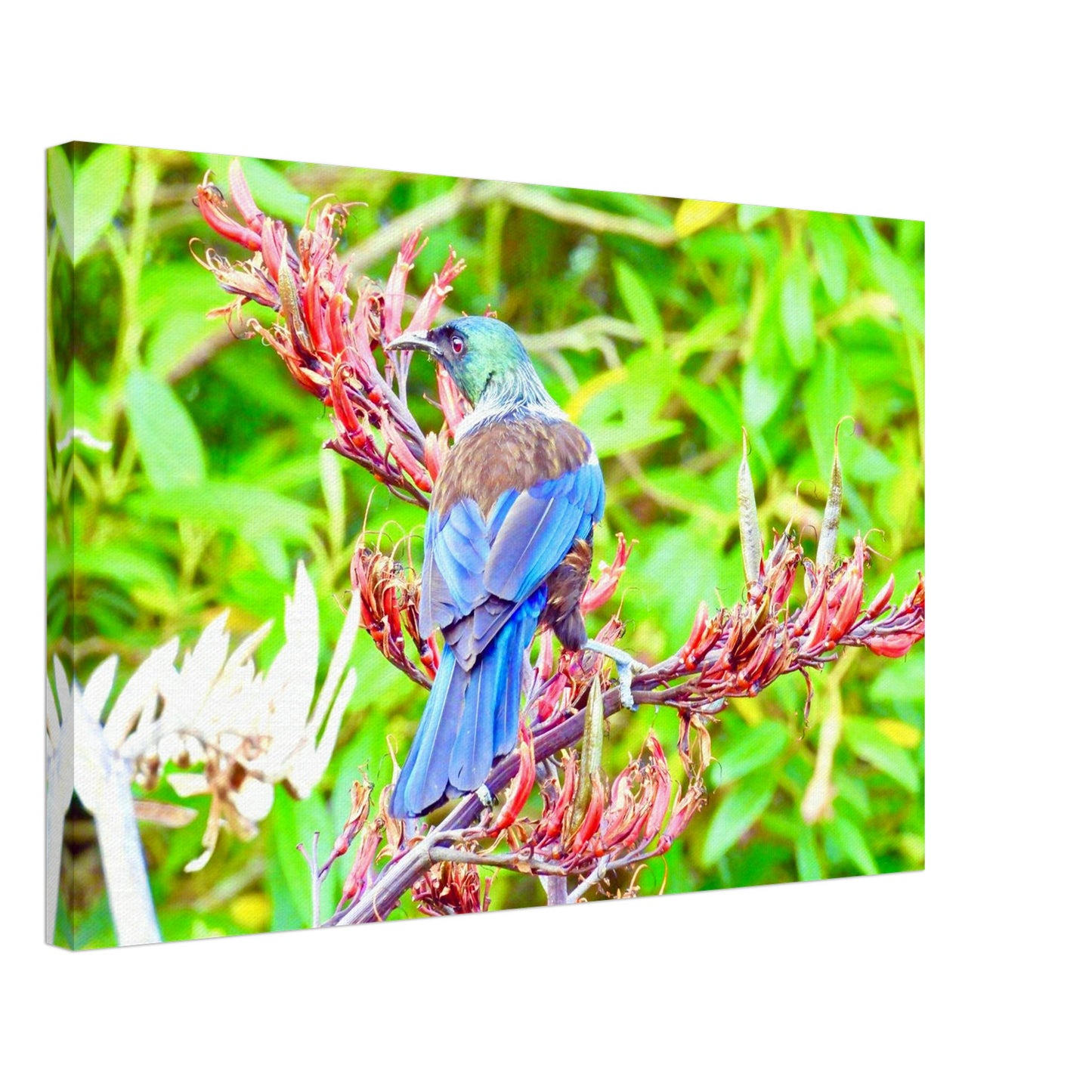 11d6a204-ab92-42b3-97bd-5481cdddb0d0