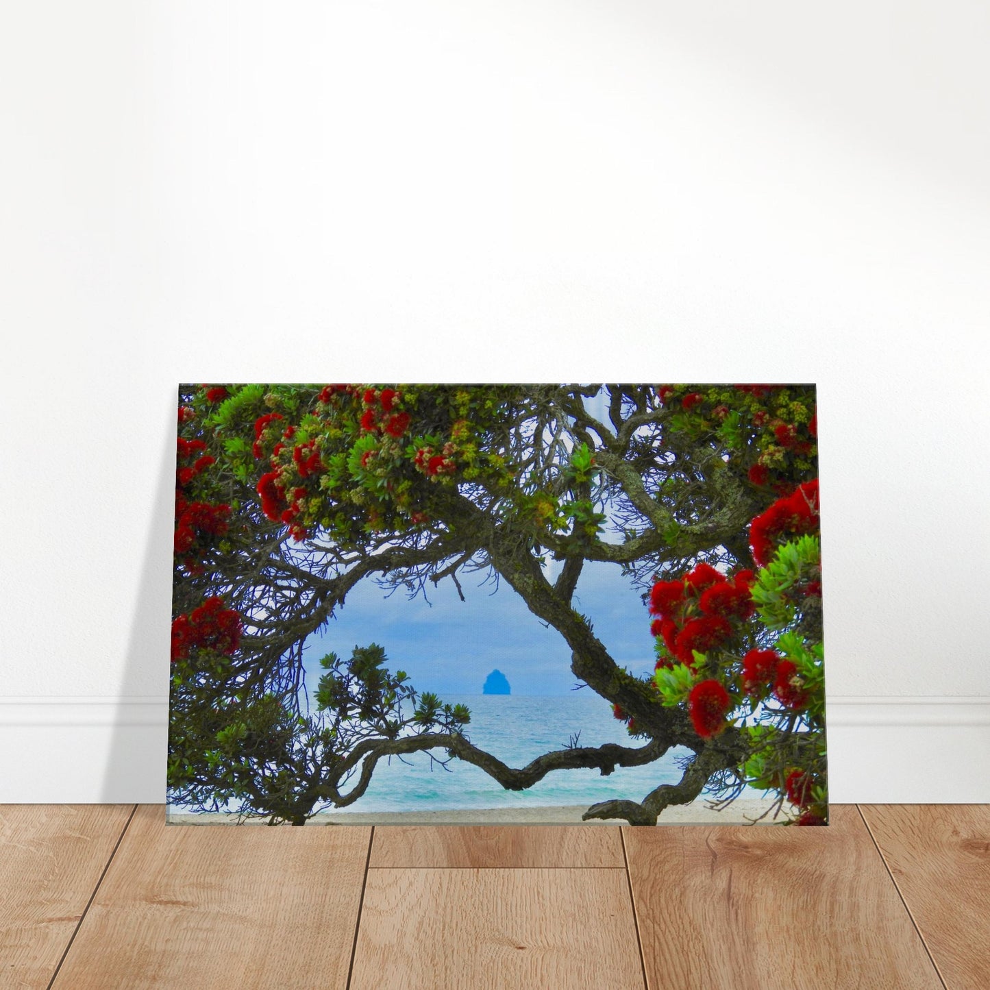langs beach, northland, langs, pohutukawa, pohutukawa tree, sail rock, piwaka prints, beach, ocean view, red flowers, canvas art, photography, nz, new zealand