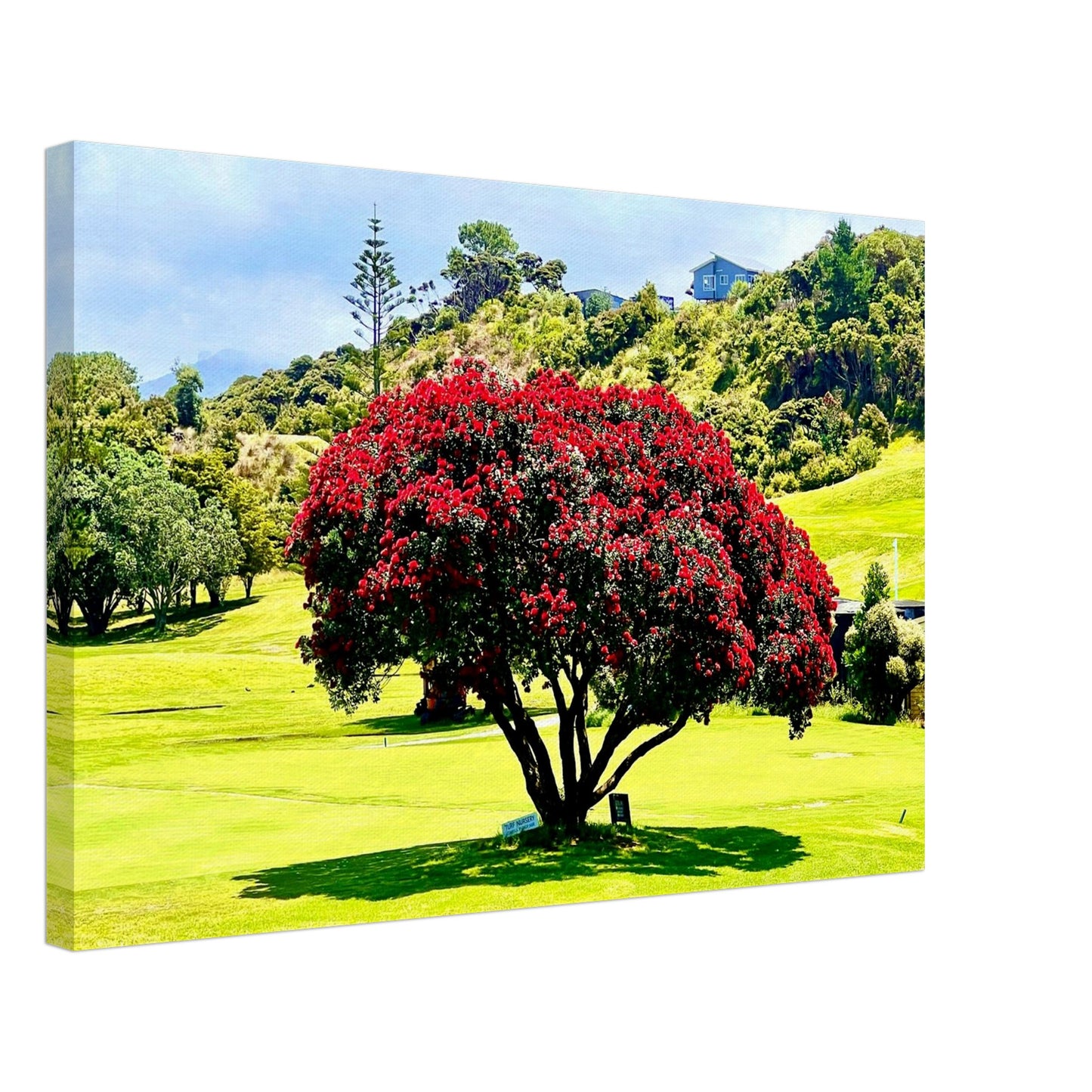 16b0b090-c7ab-4463-b5f3-6af44f19967d