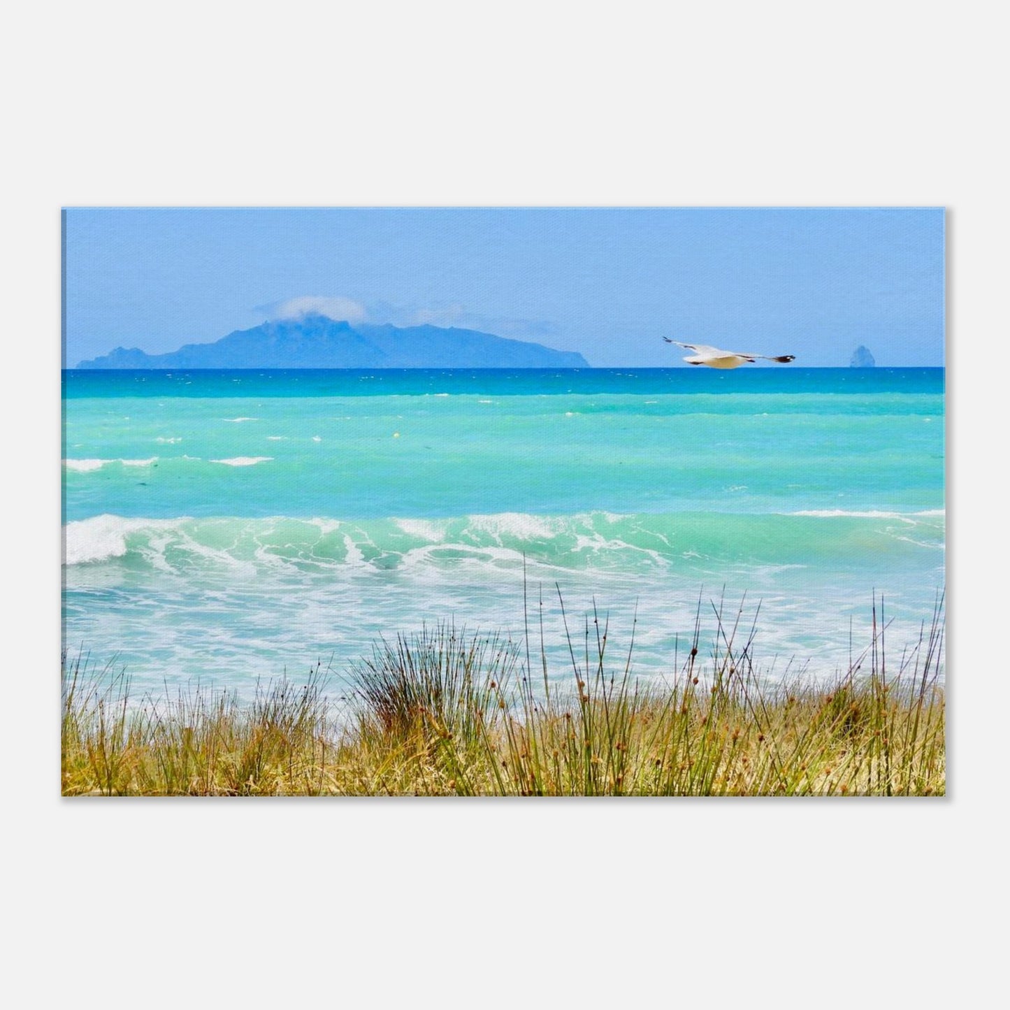 langs beach, langs, northland, taranga island, hen and chicken islands, sail rock, seagull, ocean view, turquoise water, turquoise, summer, nz, new zealand, piwaka prints