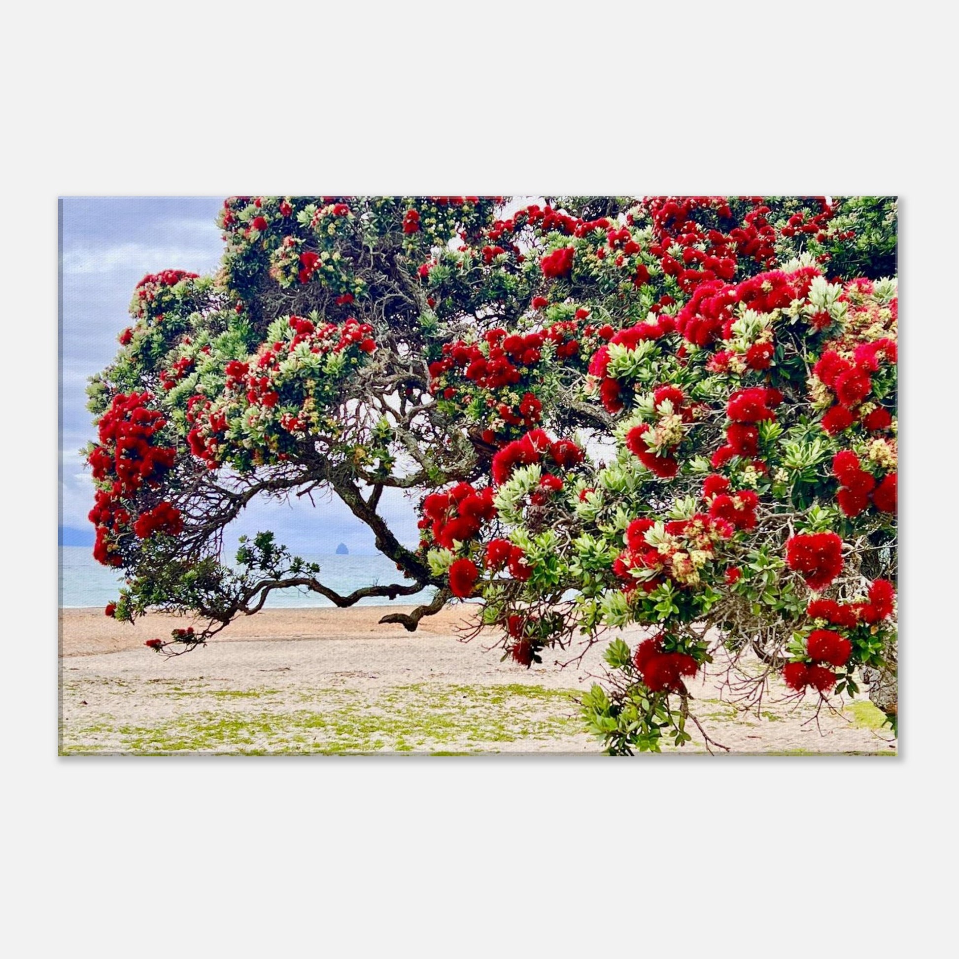 518d668b-9b2f-451a-b143-98478ee69cf3