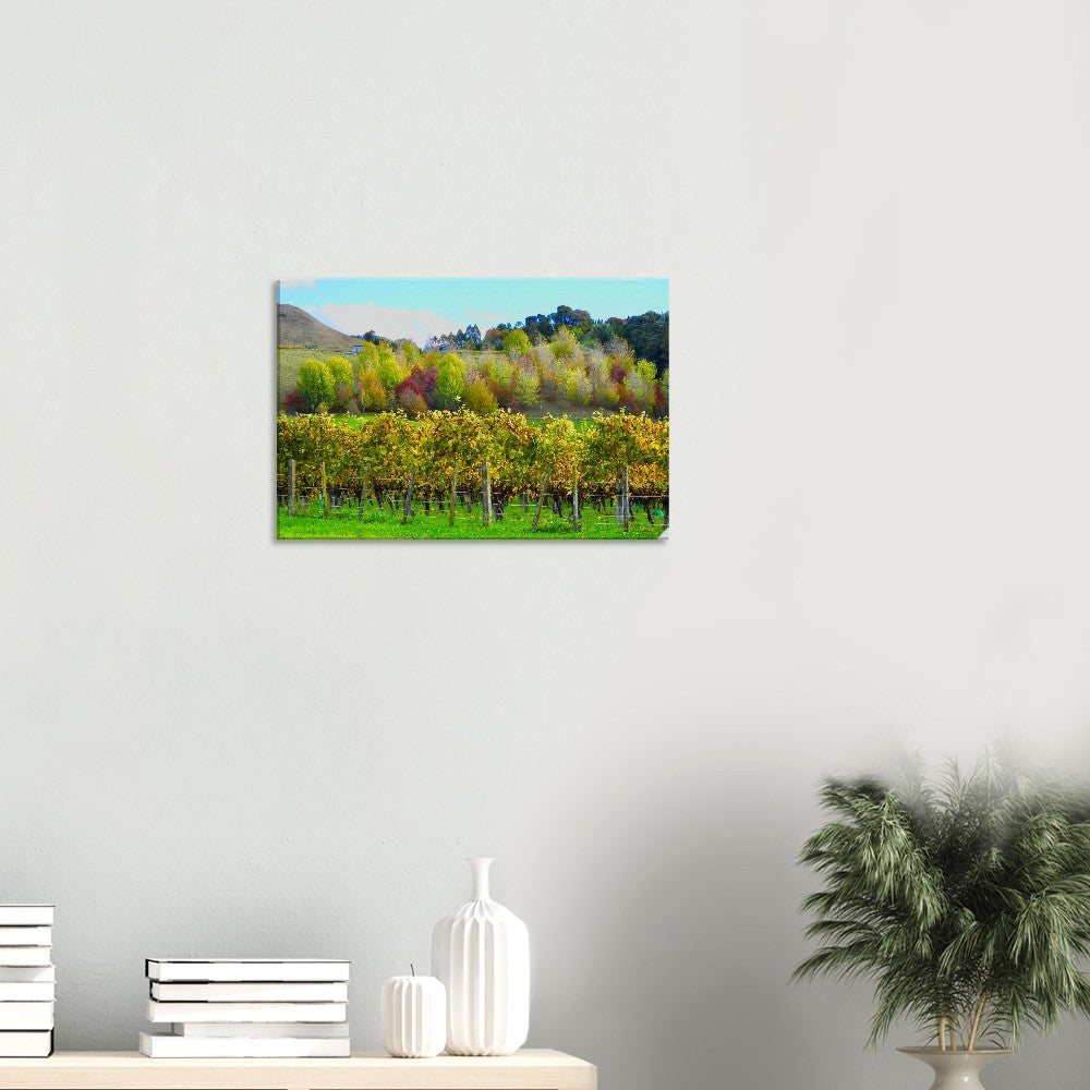 75aa66f1-4c2f-4922-b0b5-cde871480943