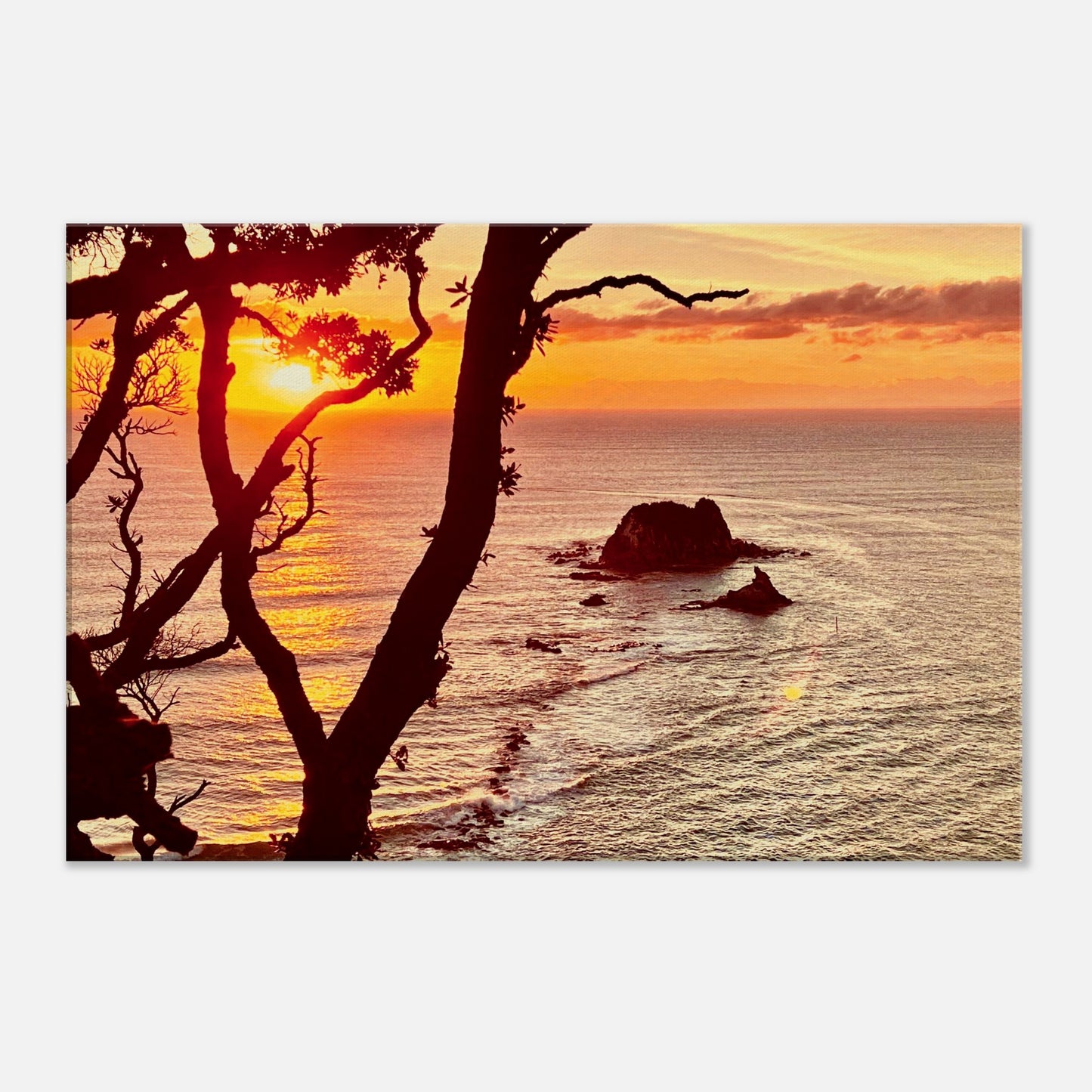 7d437b00-e08d-433e-9198-9a42755a6cf9