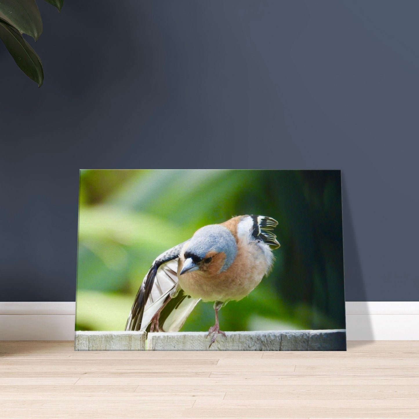 85008e5e-1534-4723-8493-6c1bfc722b31