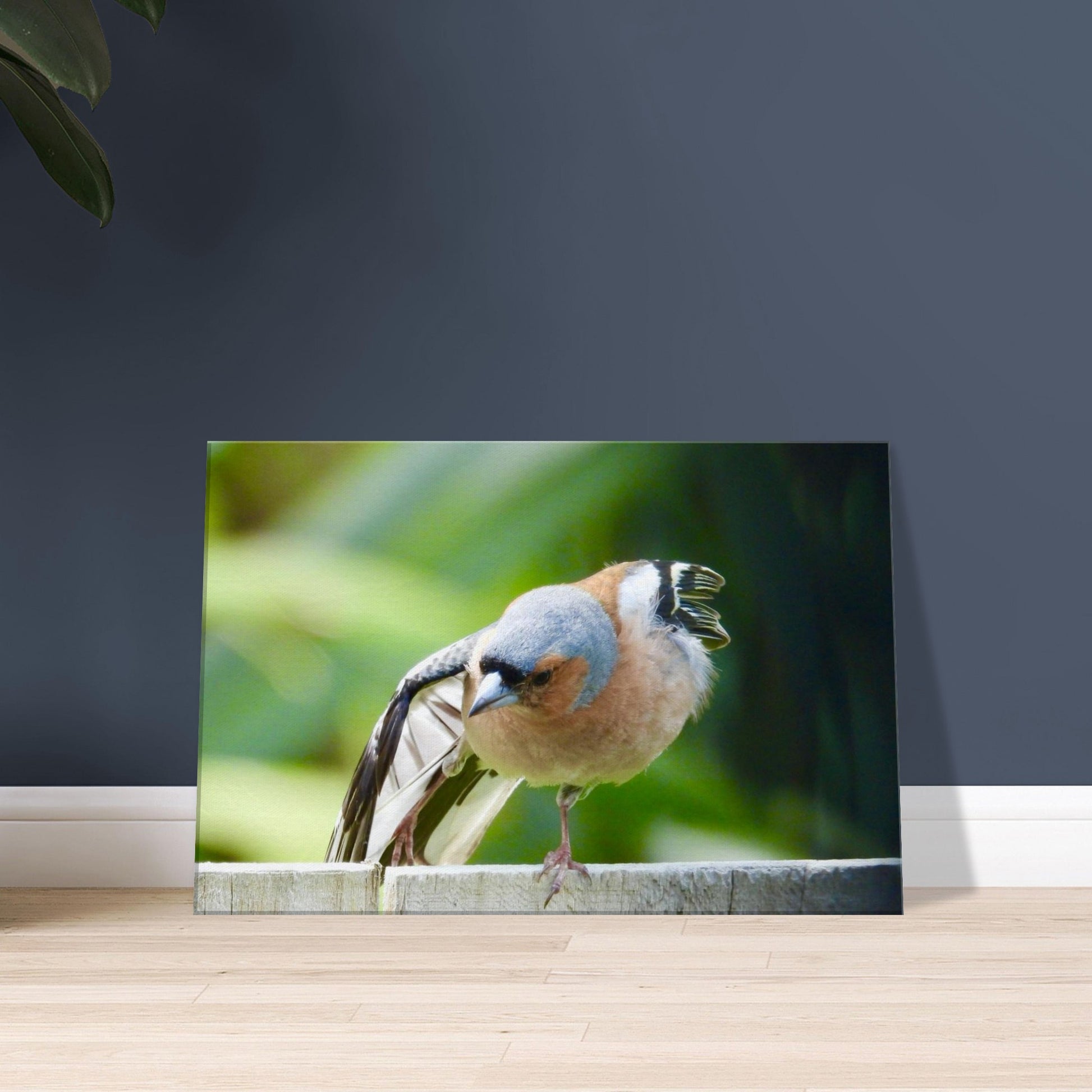 85008e5e-1534-4723-8493-6c1bfc722b31