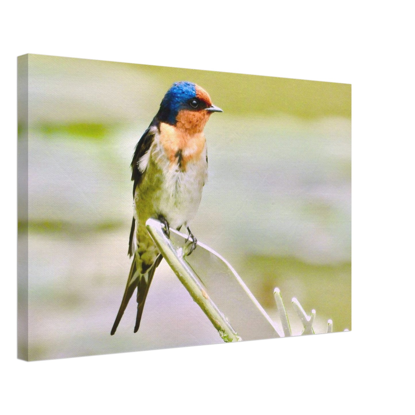 91aa44bf-1579-419a-97c2-56b6ea44a04f