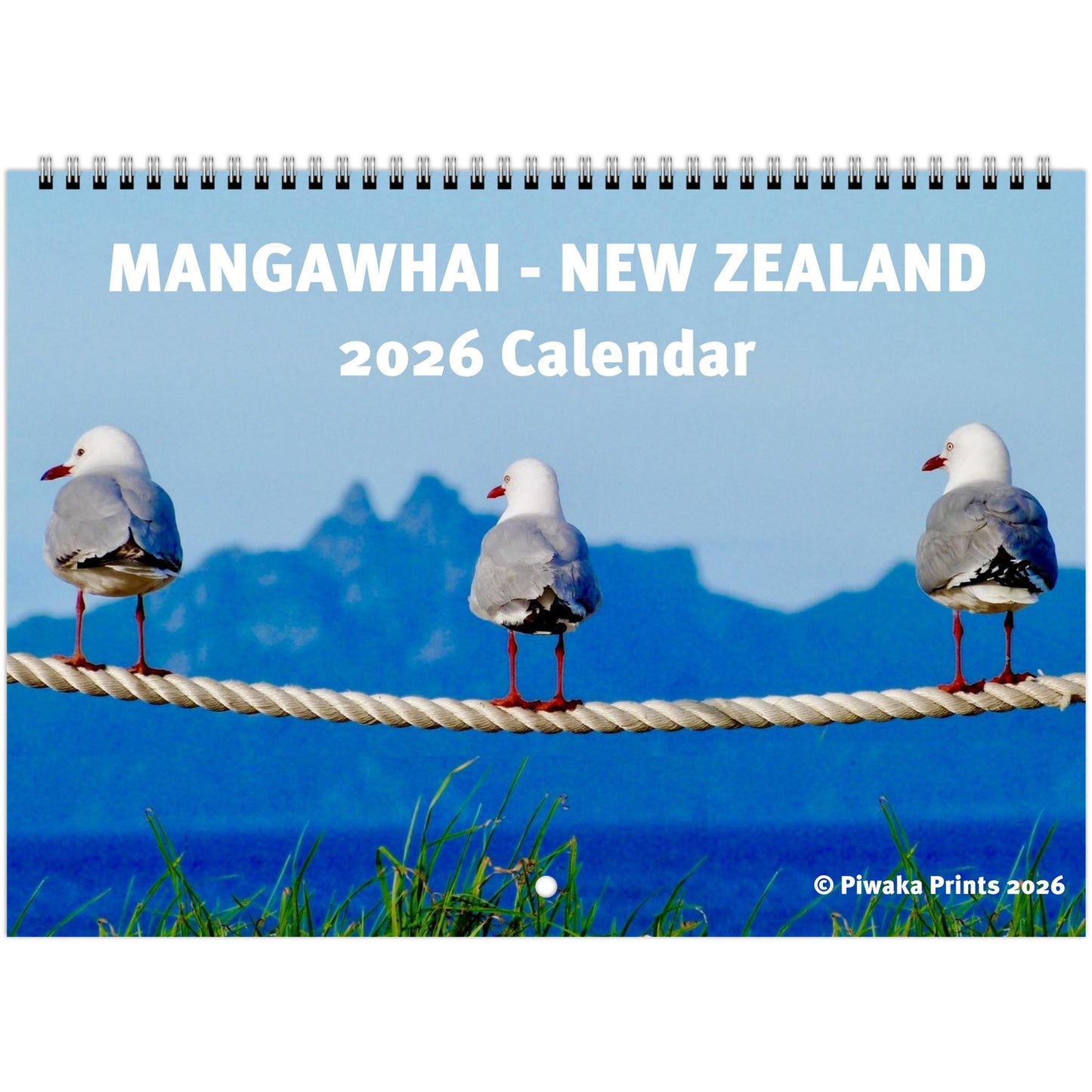 mangawhai, mangawhai heads, ocean, surf beach, beach, surf, northland, new zealand, nz, waves, piwakawaka, piwaka, piwaka prints, calendar, nz calendar, paradise, surfing, surfboard, office, wall calendar, wall, nz calendar 2026, new zealand calendar 2026, 2026, dolphins