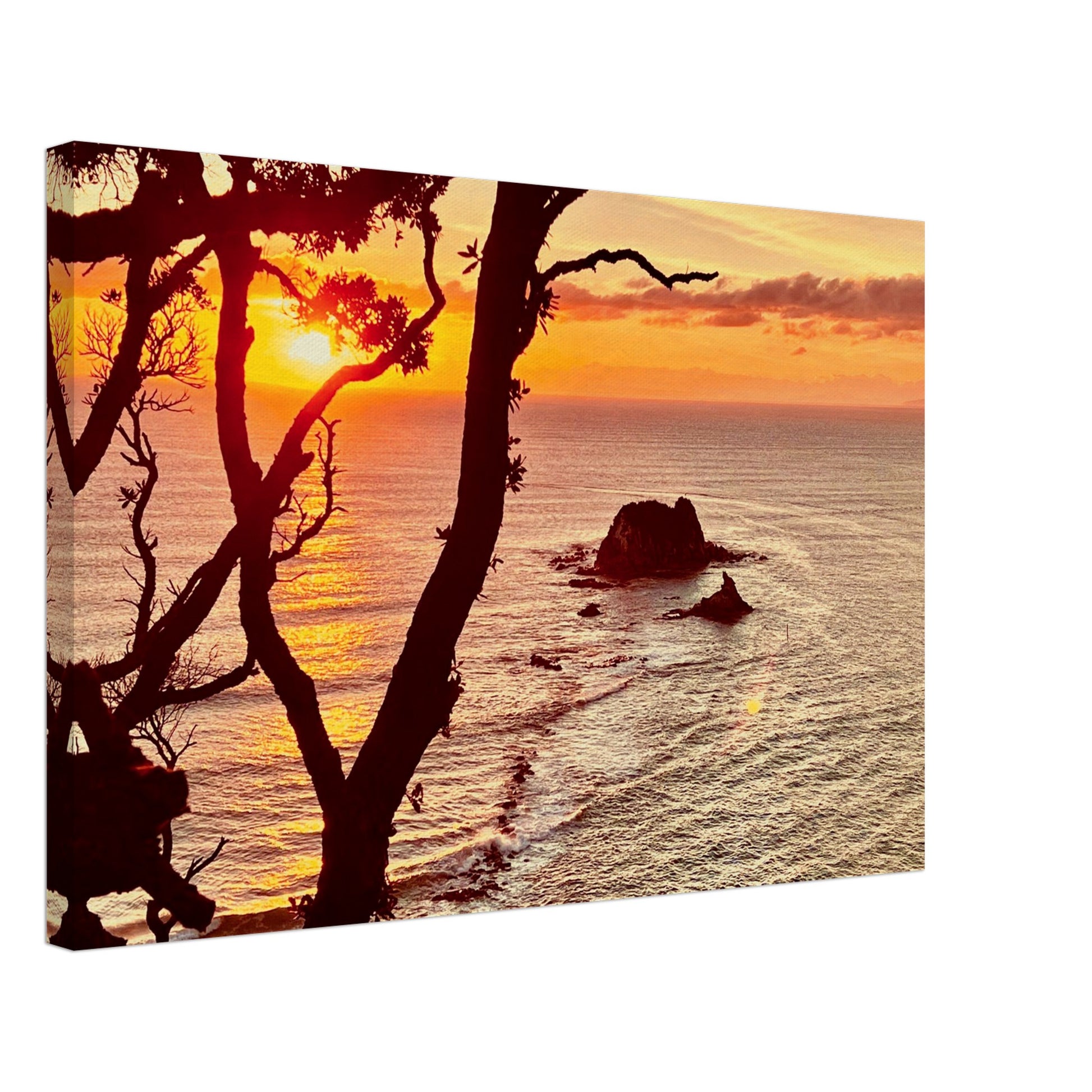 ba744616-6ffc-4e52-bbec-5fa8e4b652a7