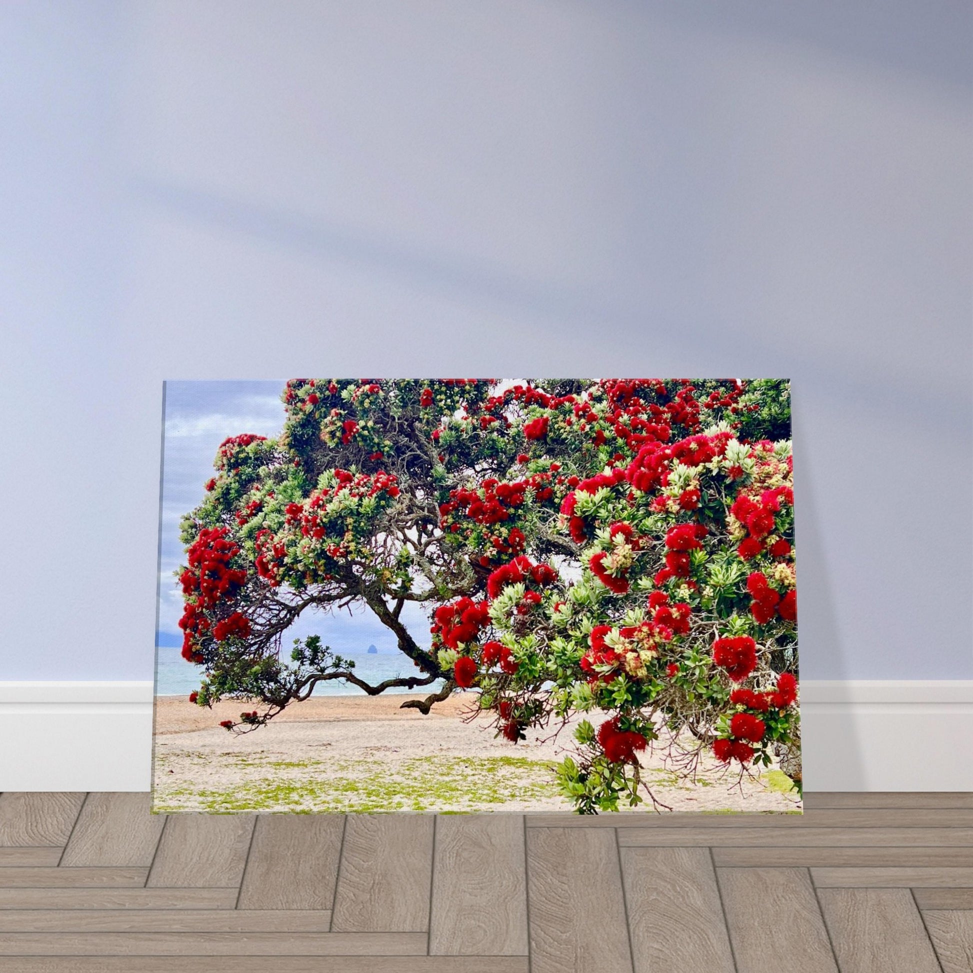 c0aa2ccc-0a8c-4cd4-a5ad-6f6ae18eaeff