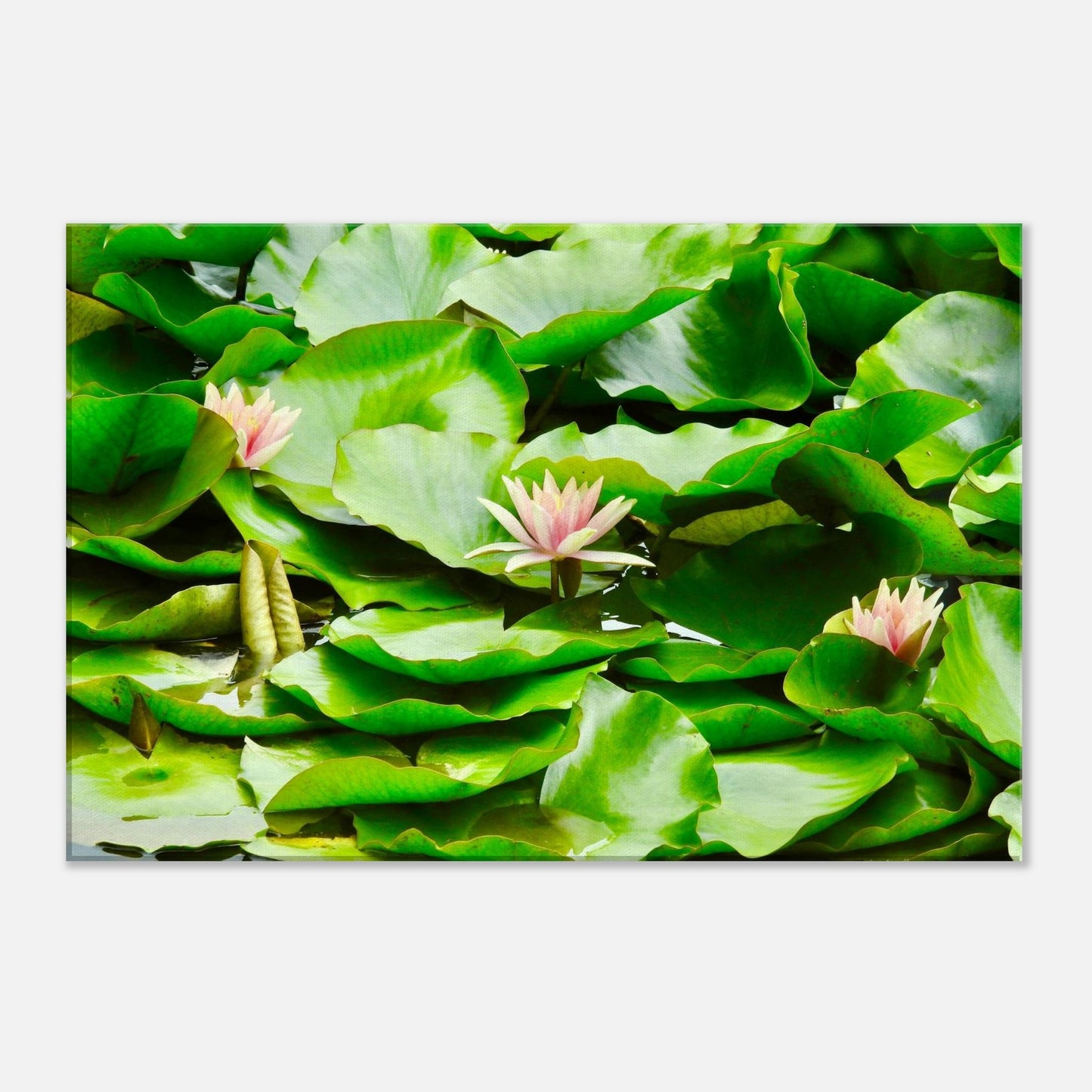 e09bfeaa-ecf8-480e-93df-68b32098f28e