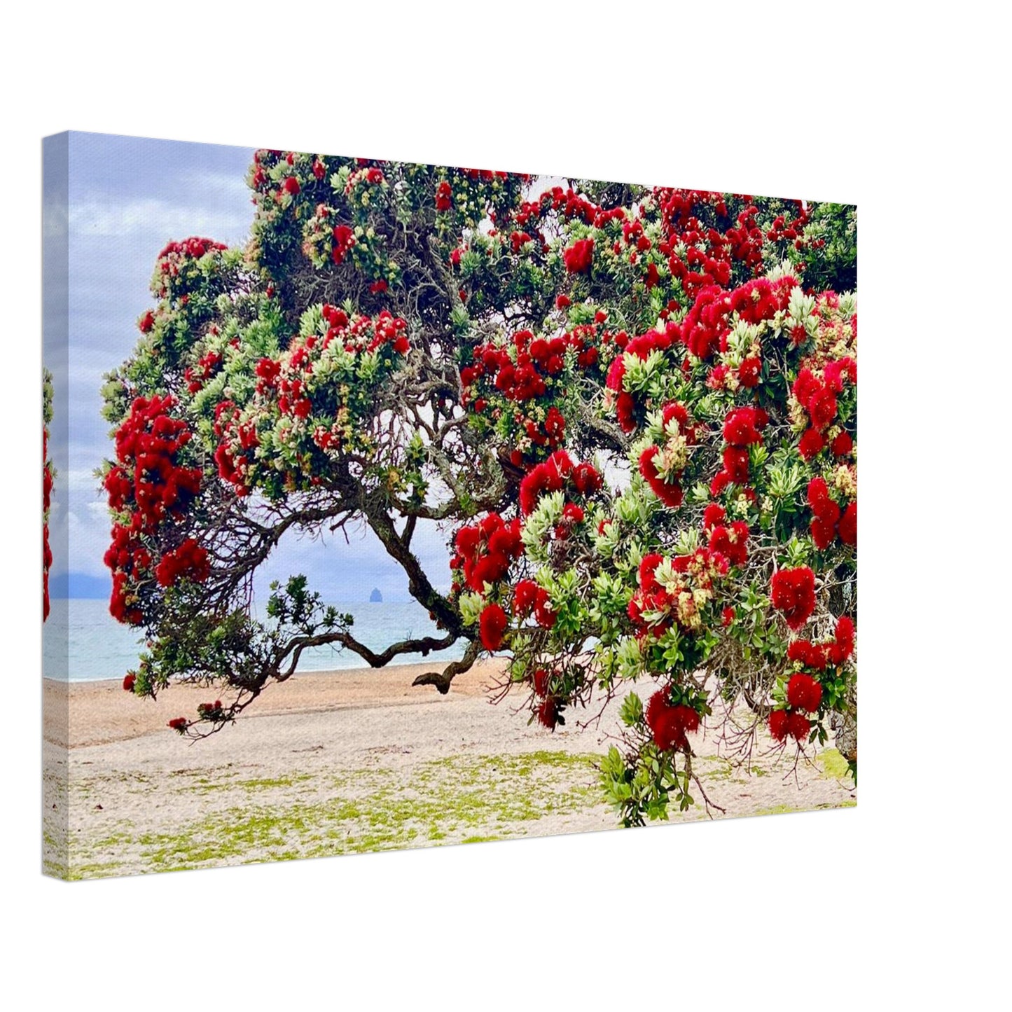 ed923f5d-49d6-4cf2-bd7f-5deb6be86334